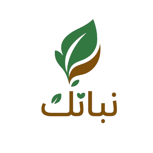 متجر نباتك